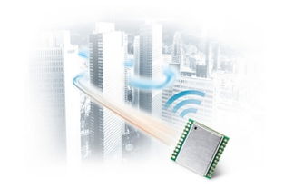 利用鴿子監測空氣質量與電磁環境 創新生物監測方法